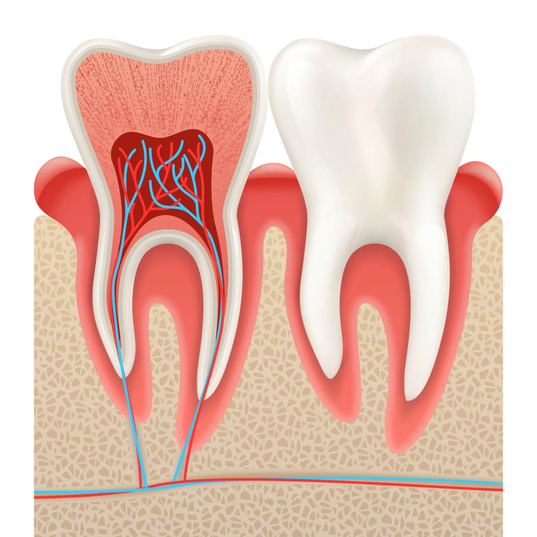 Urgent dental care in St. Albert